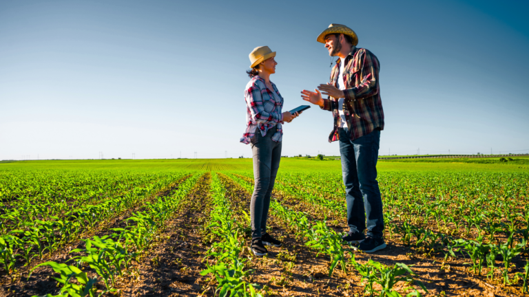 An image of a small business accountant discussing the business of agriculture with her client in Durham region