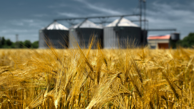 An image of a farm in Durham Region that has just insured their crops against Farm Losses