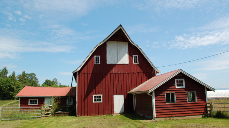 An image of a farm located in the northern part of York Region who recently hired KSSP Partners LLP in Markham to help them with the sale of their farm.